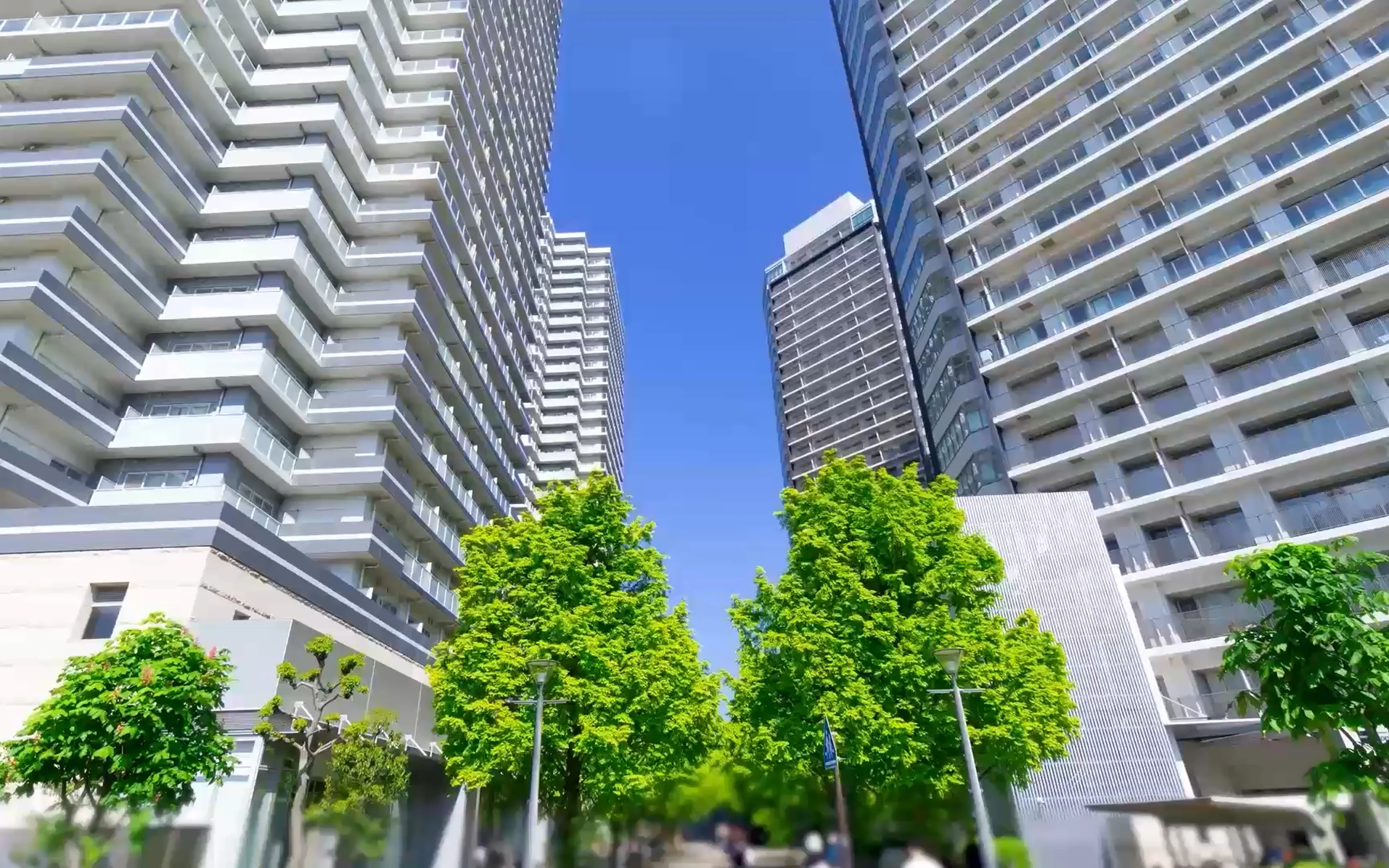 FV画像