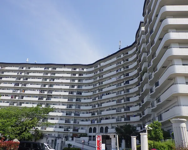 11階 429戸