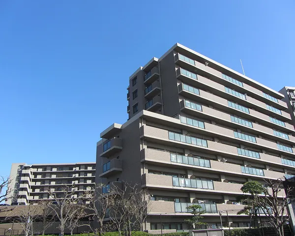 11階 270戸